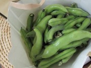 soramame2