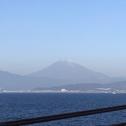 miurahuji