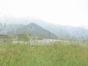 nukakibi12