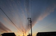 ijikango