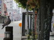 sudukuri4.12