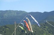 koinobori24