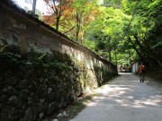 komorebikaeri