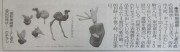 yomiuri7.7