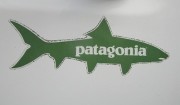 patagonia1