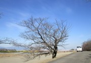 bujyou3.11.2