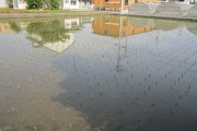 mizukagami6.11