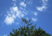 7.22kumo