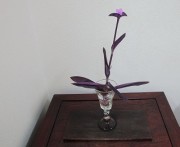 murasakisikibu7.25