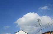 nisinokumo26