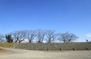kamogawadote2