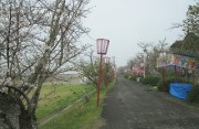 bujyou3