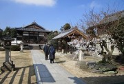 saijyoujinjya3.9.2