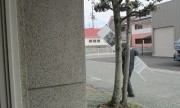tatekan2