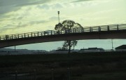 kamogawanohasi4.2