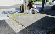 kusanuki4.24.2
