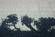 syougosuginokage