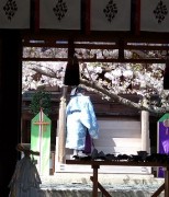 takasisan2