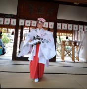 urayasunomai2