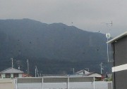 karasu1