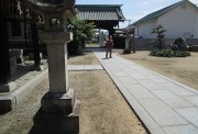 saijyoujinjya5.9