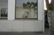 tenjikae20.2
