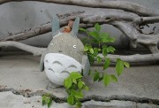 totoro28