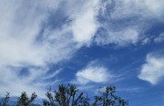6.16kumo