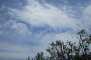 6.1kumo