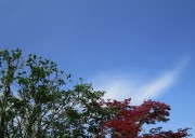 6.4.2kumo