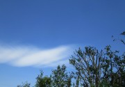 6.4kumo