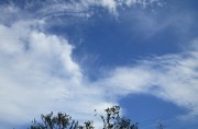 6.6kumo