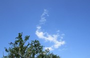 7.15kumo