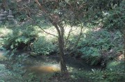 imado30.1