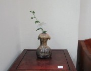 siromukuge17