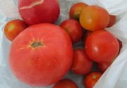 tomatoosusowake