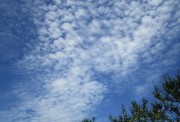8.20kumo