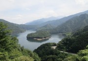 damuko8.27