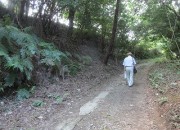 hakayama8.16.2