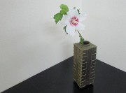 hirokimukuge8.8.2