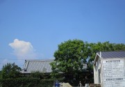jyakarandanokumo