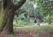 kawasima8.6.1