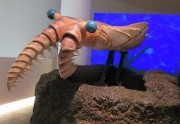 ugoku1