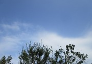 9.17kumo