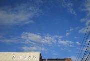 aozora9.5