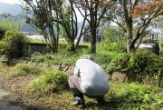 kusanuki2
