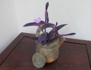 murasaki9.11