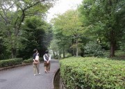 nakayosisimai