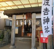 tuitatisai