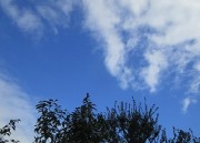 10.13kumo